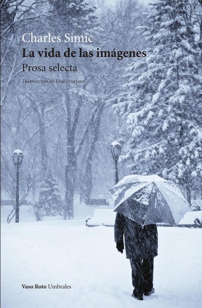 La vida de las imágenes / Vaso Roto